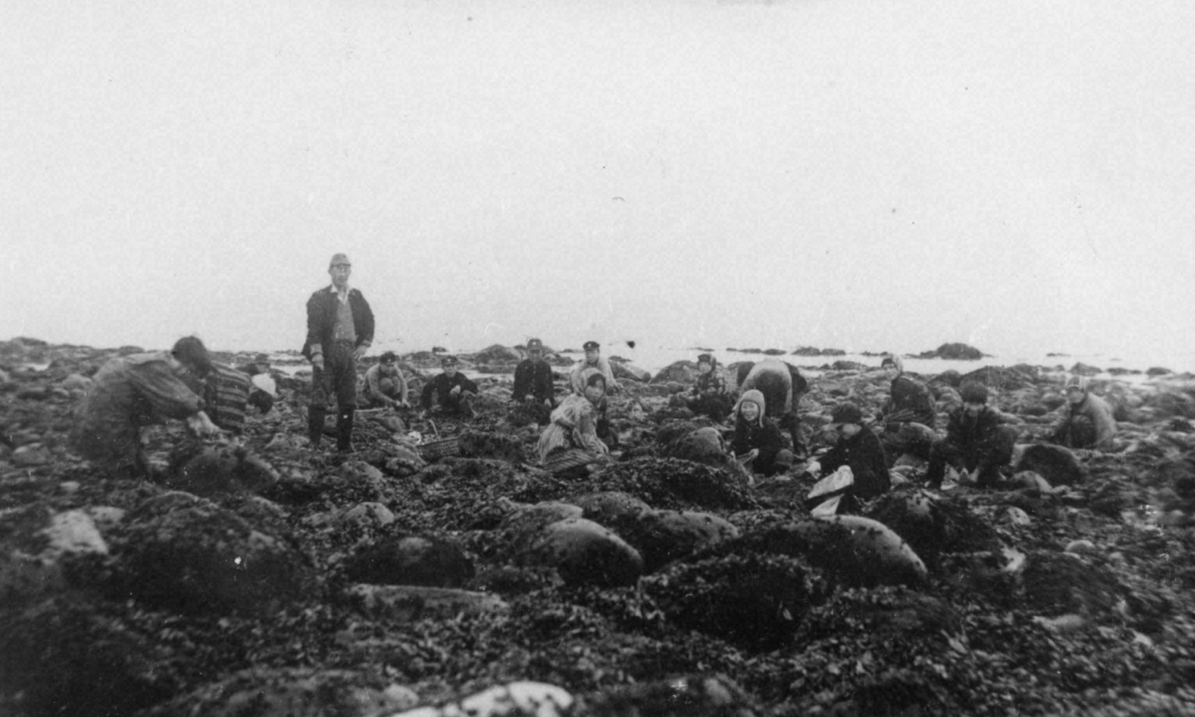 アクセス可能な資料